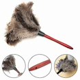 thumbnail image 1 of Anti-Static Genuine Ostrich Feather Duster 32cm Wooden Handle Cleaning Brush, 1 of 3