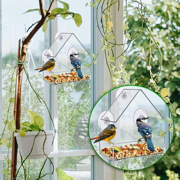 Mangeoire à oiseaux en acrylique transparent avec fenêtre en acrylique  Mangeoire à oiseaux sauvages Mangeoire à oiseaux suspendue avec ventouses  solides et bac à graines pour l'observation des oiseaux d'intérieur  Décoration de