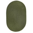 thumbnail image 1 of Rhody S029R024X048 Tapis Solide 2x4 Tapis Sauge Foncée, 1 of 1
