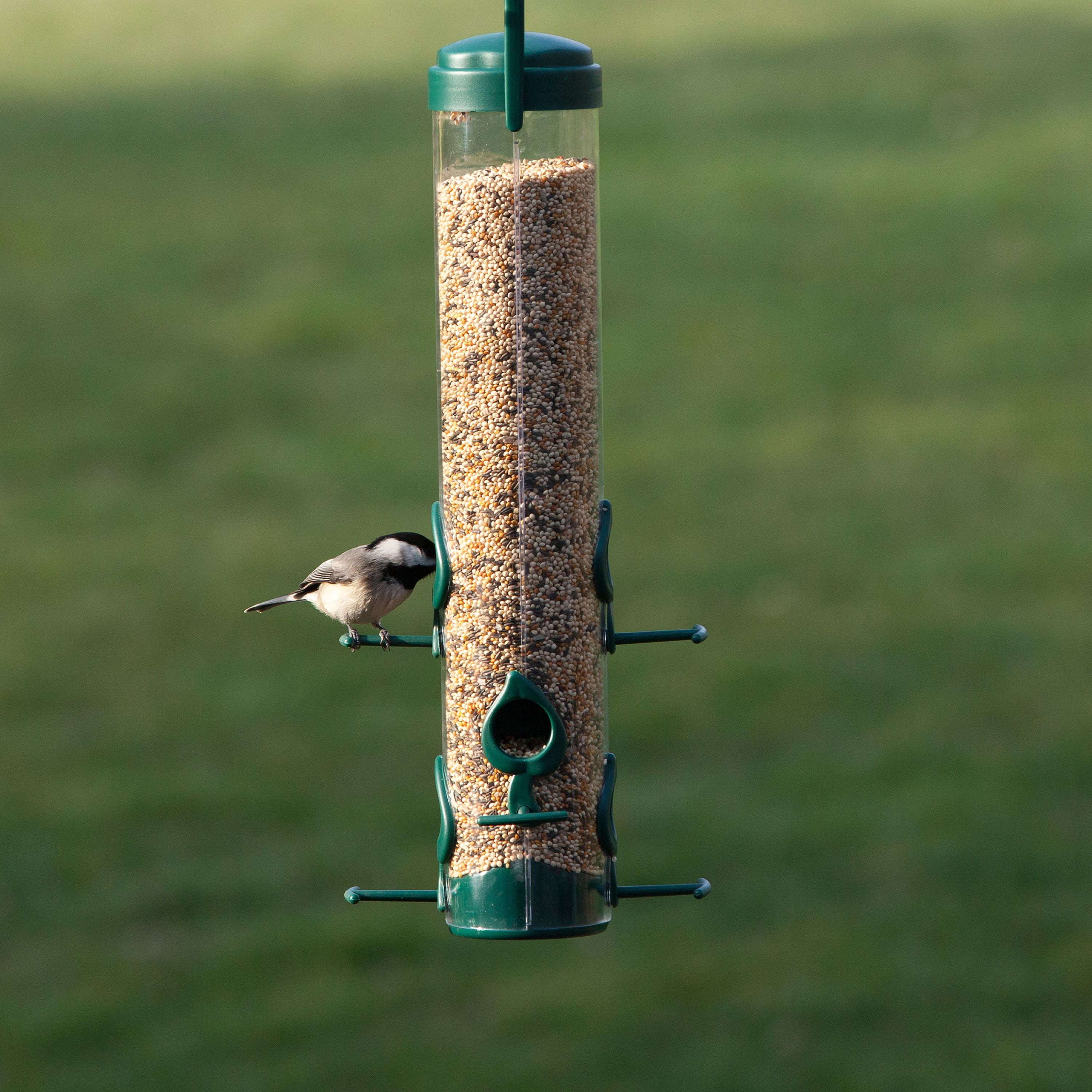 Perky Pet Classic Wild Bird Feeder Walmart Com