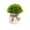 A006- Style F, variant on Small Fake Potted Plant White Ceramic Pot Coffee Table Decor for Living Room Kitchen Table Centerpiece Home Office Desk Shelf Decor