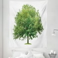 thumbnail image 1 of Oak Tree Tapestry, Spring Botanical Branch Forest Environment Foliage Lone on Plain Backdrop, Fabric Wall Hanging Decor for Bedroom Living Room Dorm, 5 Sizes, Fern Green White, by Ambesonne, 1 of 1