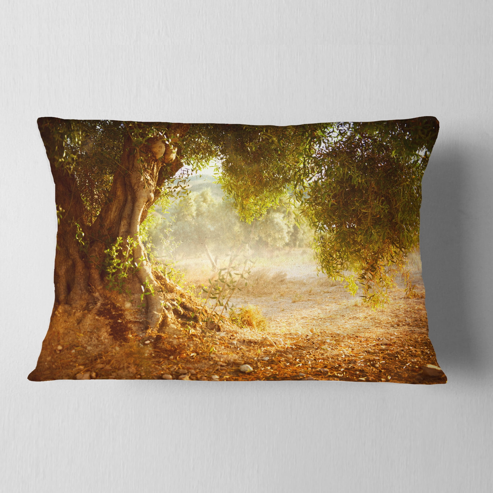Designart Beautiful Old Olive Tree - Landscape Printed Throw Pillow - 12x20