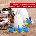 thumbnail image 5 of Bebedero automático para aves de corral de 6 piezas, bebedero para pollos y patos, cuenco de agua colgante, color azul, 5 of 5