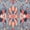 Rust/Navy, variant on Safavieh Serapi Albina Medallion Machine Washable Area Rug, Rust/Navy, 5'3" x 7'6"
