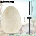 thumbnail image 2 of 1Set Dinosaur Egg w/12 Dinosaur Toys Educative Dinosaur Excavation Kit Interactive Dinosaur Egg Dig Kit, 2 of 10