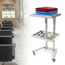 Medical Cart Mobile Beauty Spa Hair Salon Trolley 2 Tier Rolling Cart w/4 Wheels