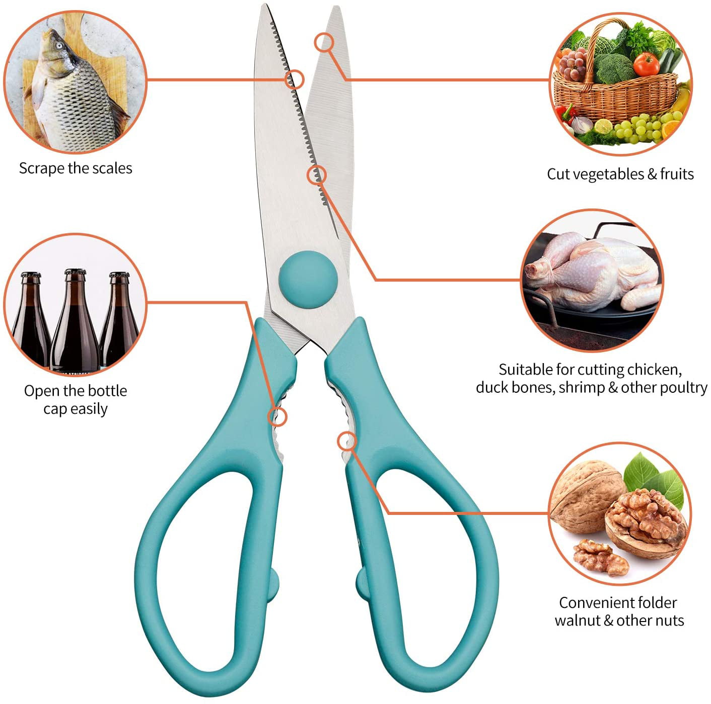 Kitchen Scissors For General Use Woman Kitchen Accessories Shears