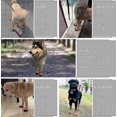 thumbnail image 3 of Dog Shoes Paw Protect Running Shoes For Large Dog With Adjustable Reflective Z, 3 of 5