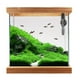 thumbnail image 3 of acuario calentador de agua sumergible enchufe estadounidense, termostato automático, 25 W / 50 W (opcional) 25w Sunnimix Dispositivo de calentamiento de acuario pequeño, 3 of 8