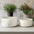 thumbnail image 4 of Veda Ceramic Low Round Planter Set (Set of 2), 4 of 8