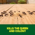 thumbnail image 2 of Raid Outdoor Liquid Ant Bait, Starts Killing Listed Ants Within 24 Hours, Effective Outdoors, Pre-Filled and Ready-To-Use, 8 Bait Stations Per Pack, 2 fl oz, 2 of 13
