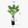 thumbnail image 5 of Artificial Tree in Contemporary Planter, Fake Monstera Silk Tree for Indoor and Outdoor Home Decoration - 65" Overall Tall (Plant Pot Plus Tree), 5 of 5