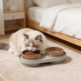 thumbnail image 6 of LEFXSMR Cat & Dog Bowls, Spill-proof Pet Cat Feeder for Drinking & Feeding, Slanted Cat Water Bowl for Pets Home Use, Gray, 6 of 6