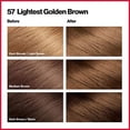 thumbnail image 2 of Revlon Permanent Hair Color, Permanent Hair Dye, Colorsilk with 100% Gray Coverage, Ammonia-Free, Keratin and Amino Acids, 57 Lightest Golden Brown, 4.4 Oz (Pack of 1), 2 of 3