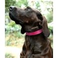 thumbnail image 2 of Reflective Dog Collar , 11 Colors,Soft Neoprene Padded Breathable Nylon Pet Collar Adjustable for Small Medium Large Extra Large Dogs,4 Sizes, 2 of 6