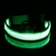 thumbnail image 3 of HLONK Luminous Bite Resistant LED Dog Collar Tear-resistant and Adjustable Safety Accessory for Pets, 3 of 9