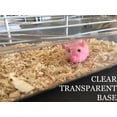 thumbnail image 5 of 4-Story Acrylic Clear Hamster Mouse Gerbil House Habitat Home Cage With Large Top Exercise Running Ball, 5 of 9