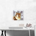 thumbnail image 2 of ARTCANVAS Ragamuffin Cat Breed Canvas Art Print - Size: 12" x 12" (0.75" Deep), 2 of 9