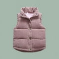 thumbnail image 2 of Quilted Jacket Toddler Girl Hooded Puffer Vest for Boys Girls Winter Warm Sleeveless Zip Up Lightweight Coat Kids Puffy Weighted Solid Jacket, 2 of 4