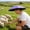 Purple, variant on Travel Hat Umbrella Fishing Umbrella Hat Type, Convenient for Both Sun and Rain, Sunshade Sunscreen Rainproof Adjustable, Purple