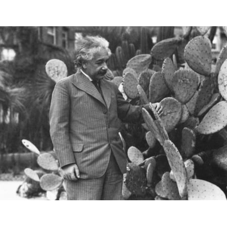 Albert Einstein (1879-1955) Namerican (German-Born) Theoretical Physicist Inspecting A Specimen Of Luther BurbankS Spineless Cactus At The Huntington Botanical Gardens San Marino California In 1926 (Best Botanical Gardens In Southern California)