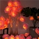 thumbnail image 2 of Fake Rose String Light 20 Led Con Pilas Ip44 A Prueba De Agua Excelente Iluminación Lámpara String Lighting Decoración Cadena Para Home Party Garden Valentine 3M / 9.84Ft Vogacara HA016701-00, 2 of 7