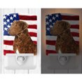 thumbnail image 2 of Carolines Treasures SS4016CNL USA American Flag with Curly Coated Retriever Ceramic Night Light 6x4x3" multicolor, 2 of 2