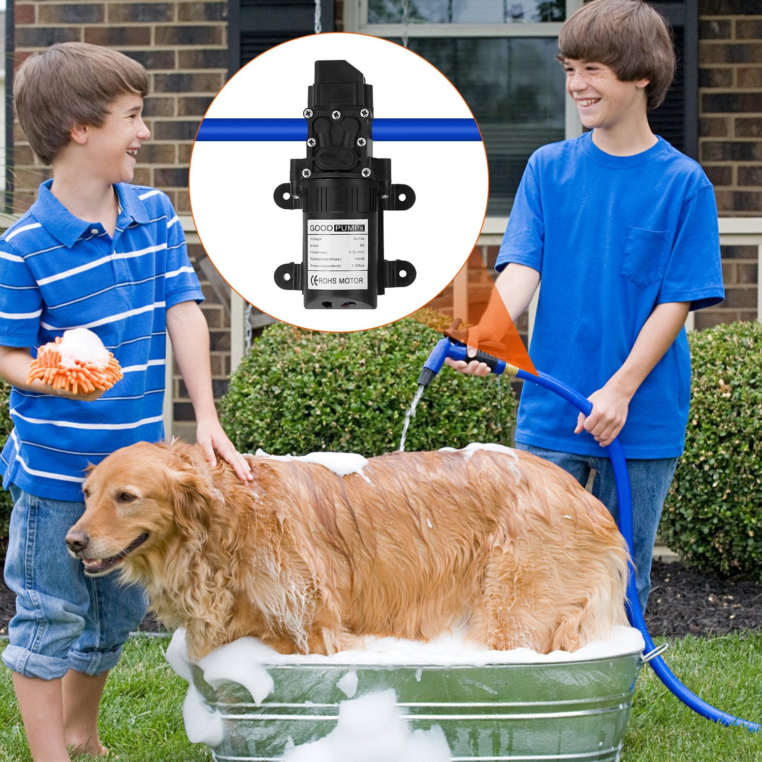 12V 100W Electric Diaphragm Water Pump w/ 2 Hose Clamps  123PSI Self Priming Sprayer Pump