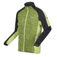 thumbnail image 3 of Regatta - Forro Polar Hepley para Hombre (Algas Verdes, Gris Seal), 3 of 4
