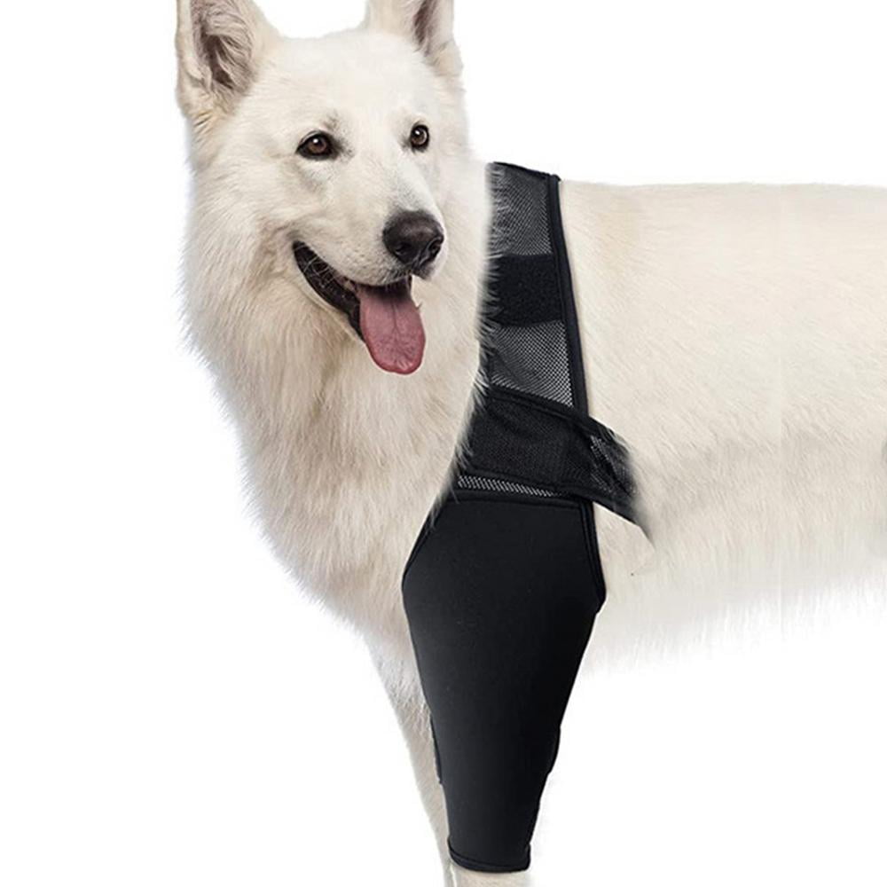 Leking Dog Knee Brace Joint Health For Dogs Dog Knee Brace Dog Leg