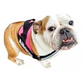 thumbnail image 2 of Pechera Personalizada Bulldog Ingles, 2 of 5