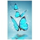 thumbnail image 2 of Cuadros Decorativos Mariposa azul 5D diamante DIY pintura Kit punto de cruz decoración del hogar artesanía Ehuebsd Nuevos Originales, 2 of 7