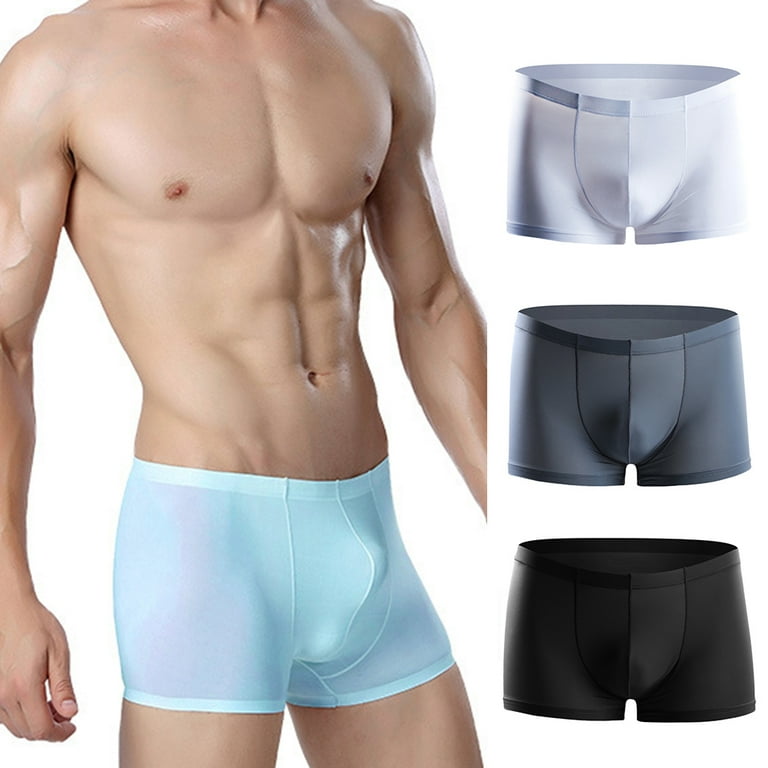 rygai Anti-theft Zipper Pockets Mid-rise Seamless Elastic Men Panties  U-Bump Male Shorts Briefs Daily Wear,Blue L 