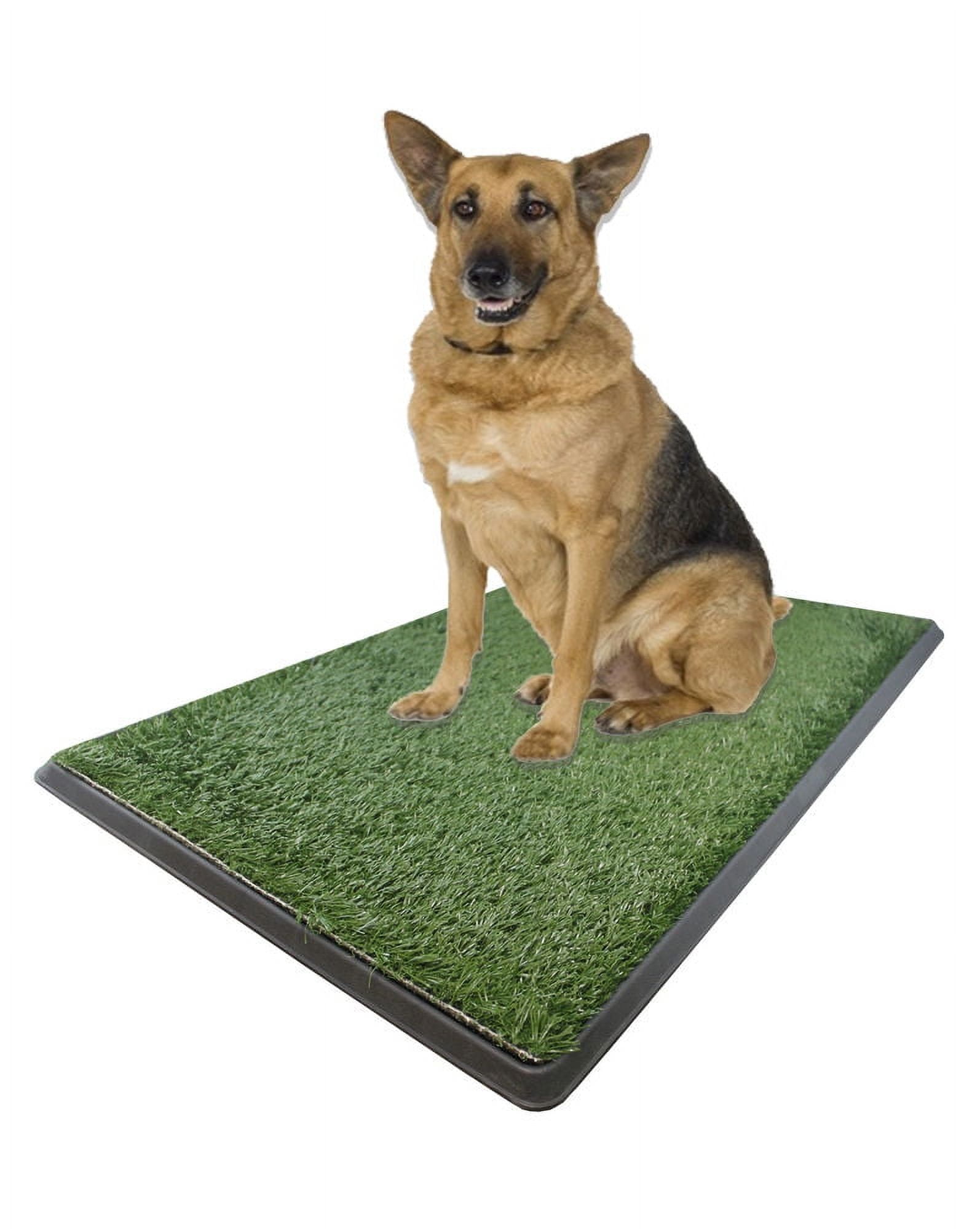 Fake grass pads for dogs sales
