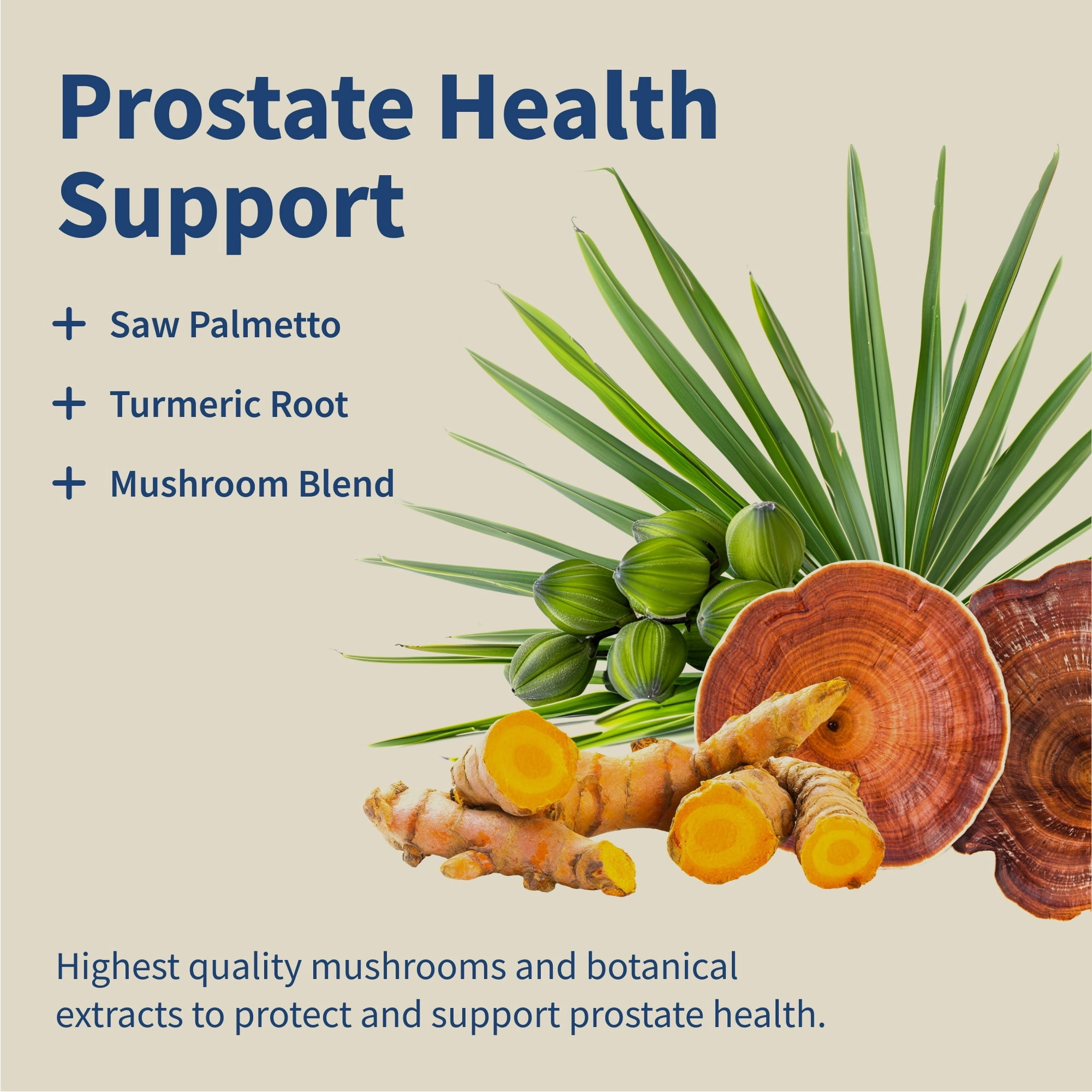 Snap Supplements Prostate Health for Men, Saw Palmetto Dietary Support, 90 Capsules - 2 Pack