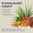 thumbnail image 4 of Snap Supplements Prostate Health for Men, Saw Palmetto Dietary Support, 90 Capsules - 2 Pack, 4 of 10
