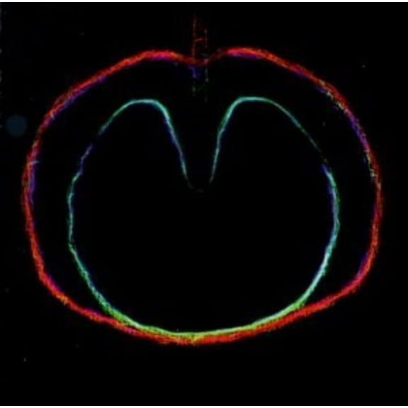 XTC - Wasp Star (Apple Venus Vol. II) - Music & Performance - CD
