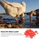 thumbnail image 3 of 100 anillos para patas de aves de corral, hebillas para patas de pollo y patos., 3 of 6