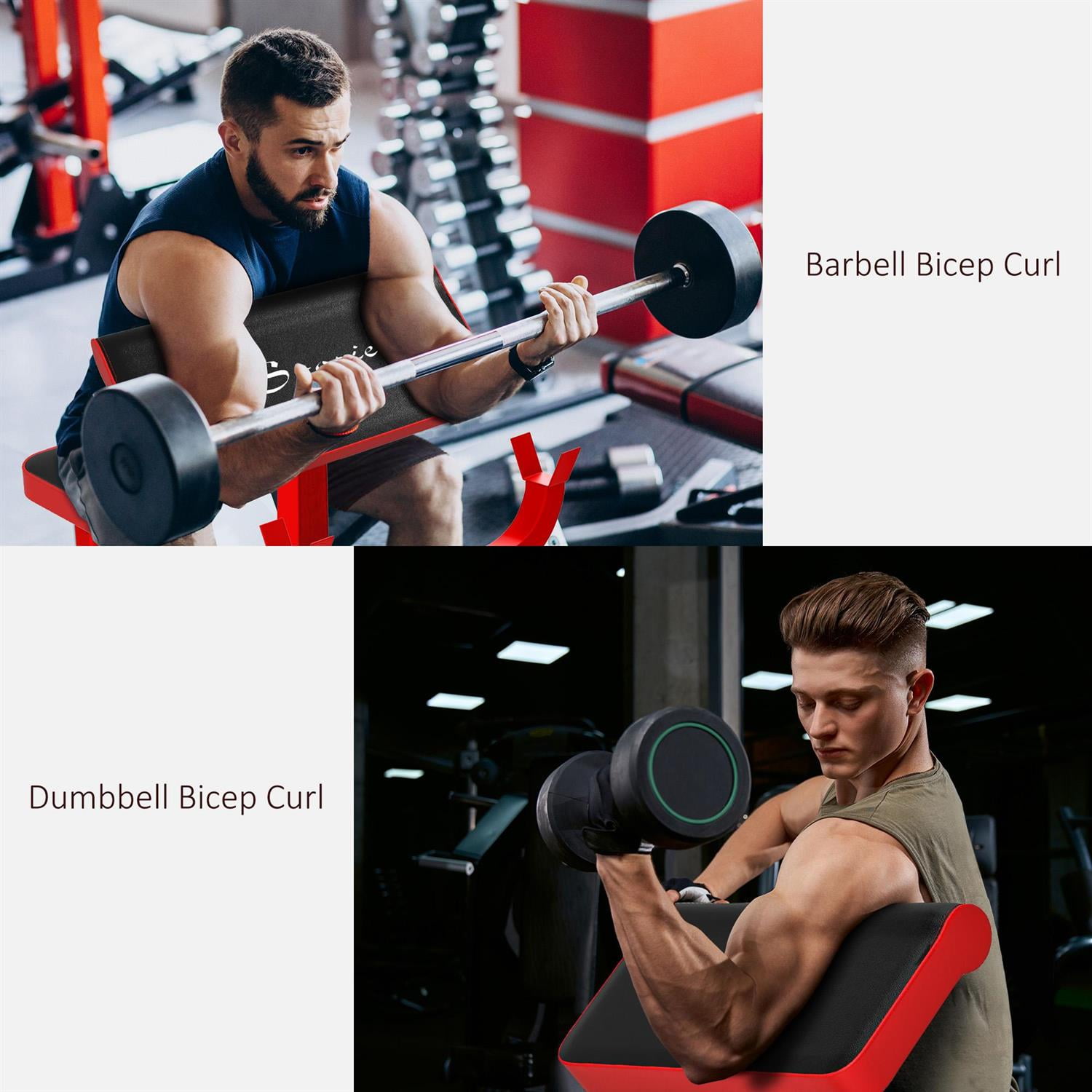 Demifill Preacher Curl Bench - Red, 265 LBS Capacity, Adjustable Seated Arm Isolated Barbell Dumbbell Bicep Strength Training Station