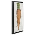 thumbnail image 3 of Stupell Industries Cottage Detailed Carrot Study Black Floating Frame Canvas Art, 11 x 25, by Lil' Rue, 3 of 8