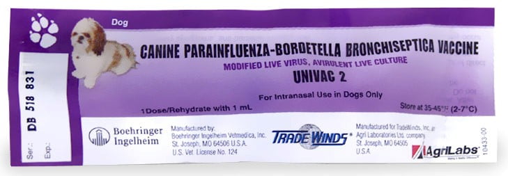 kennel cough treatment walmart