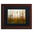 thumbnail image 2 of Trademark Fine Art "Autumn Go Fast" Canvas Art by Philippe Sainte-Laudy Black Matte, Wood Frame, 2 of 5