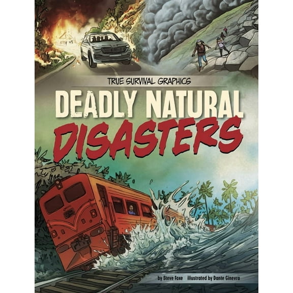 Spark Graphics: True Survival Graphics Deadly Natural Disasters, (Hardcover)