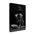 thumbnail image 4 of Trademark Fine Art Anton Belovodchenko Bodyscape Canvas Wall Art - 16x24, 4 of 4