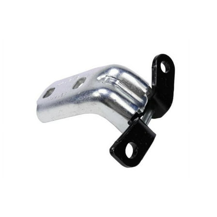 HINGE ASM-RR S/D LW (P1)