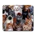 thumbnail image 1 of Cats Galore Mouse Pad, 1 of 1