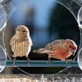 thumbnail image 2 of Window Bird Feeders with Strong Suction Cups, Clear Feeder for Outside,Bird House 2 Compartment Removable Tray, 2 of 8