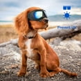 thumbnail image 4 of Las gafas para perros son adecuadas para perros de razas pequeñas e incluyen gafas protectoras, gafas de sol con protección ultravioleta, gafas resistentes al viento, gafas para la nieve y máscaras pa, 4 of 4