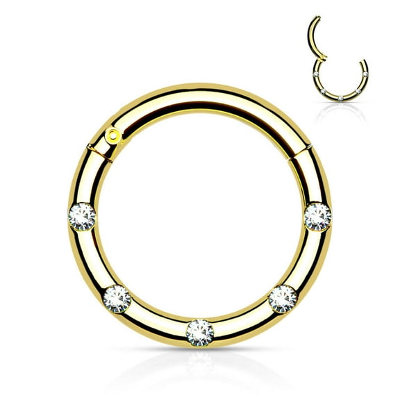 Surgical Steel Hinged Segment Hoop Ring 16 Gauge  5 Flush Gems